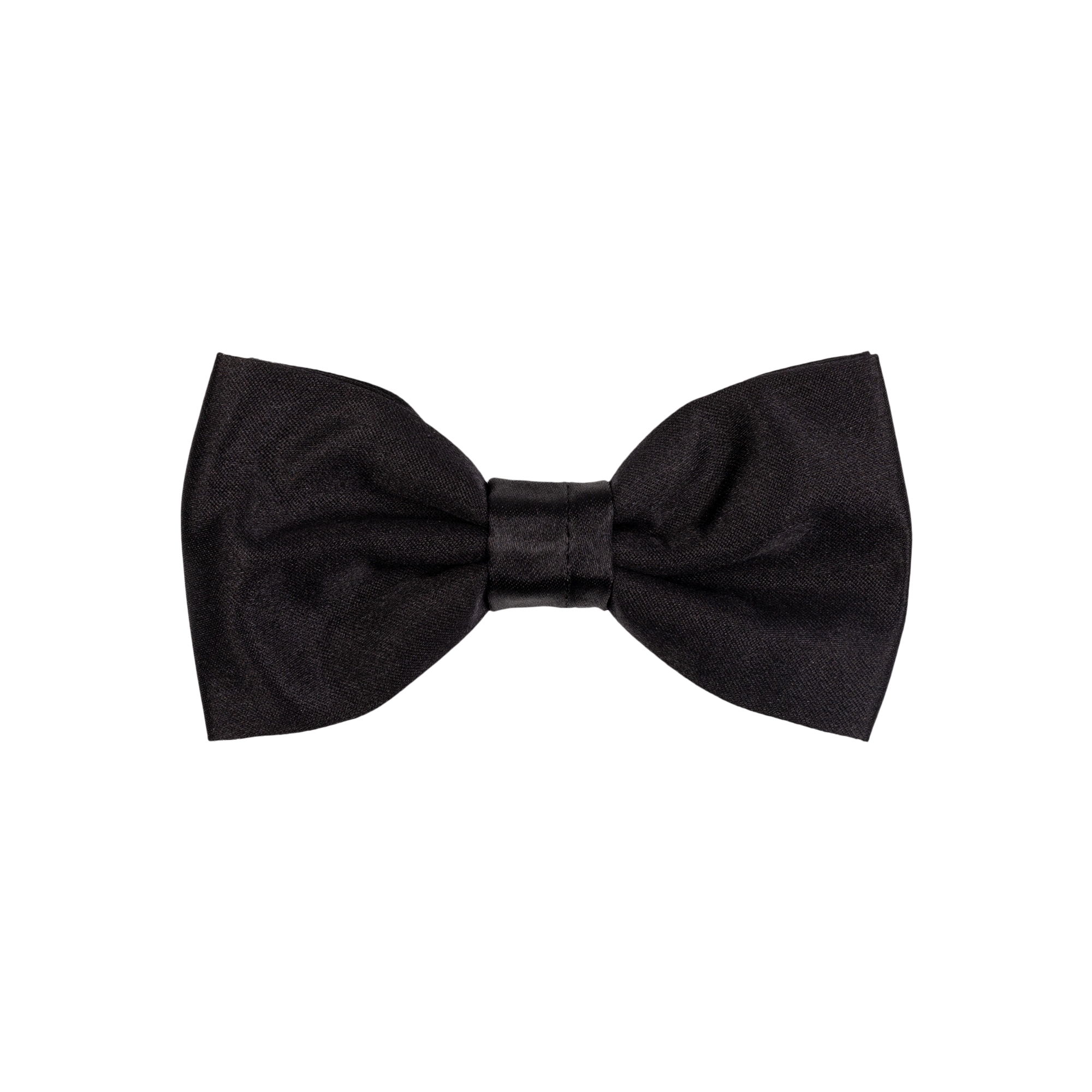 Papillon nero seta